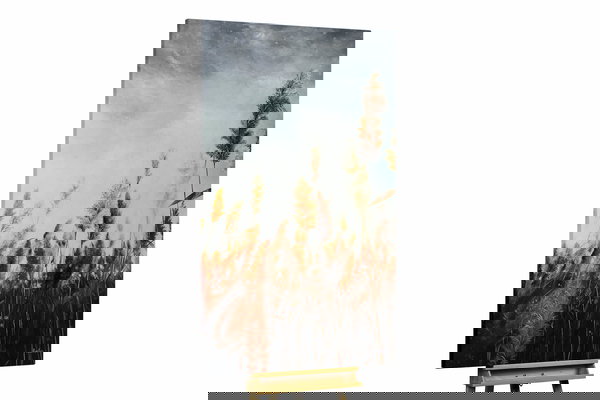 Un ejemplar único para su hogar o puesto de trabajo