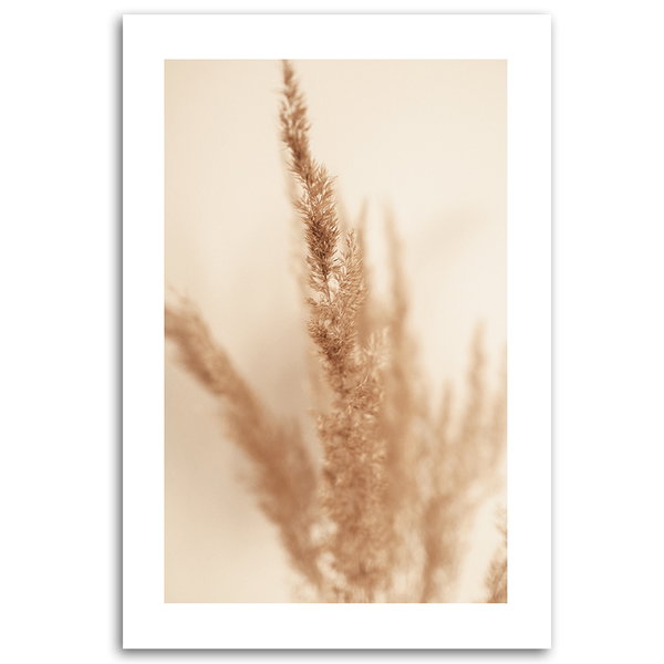 Kunstdruck auf Leinwand 'Sepia Toned Pampas Grass Close-Up'
