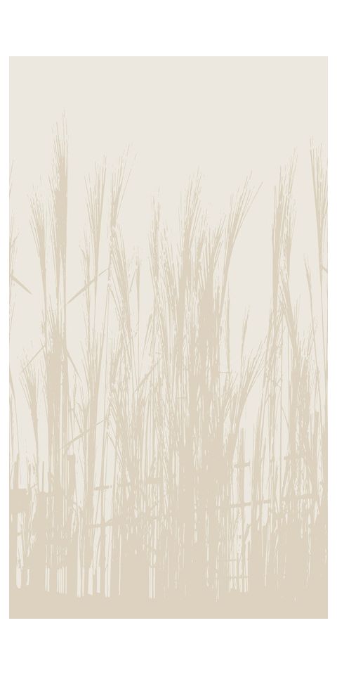 Tapeta 'Peaceful Scene' 159x280cm