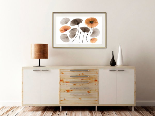 Poster 'Dried Poppies'