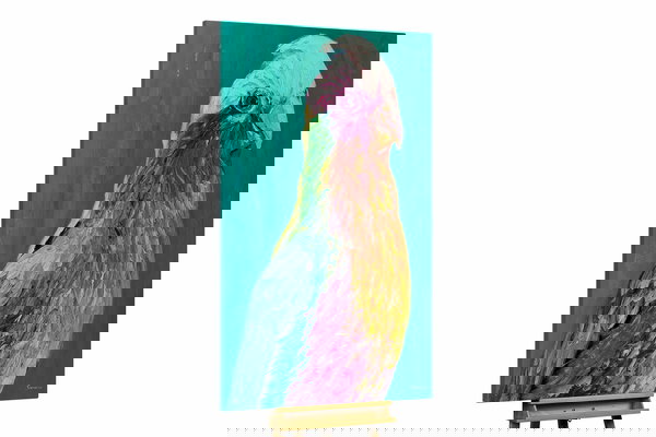 Een uniek exemplaar voor je interieur