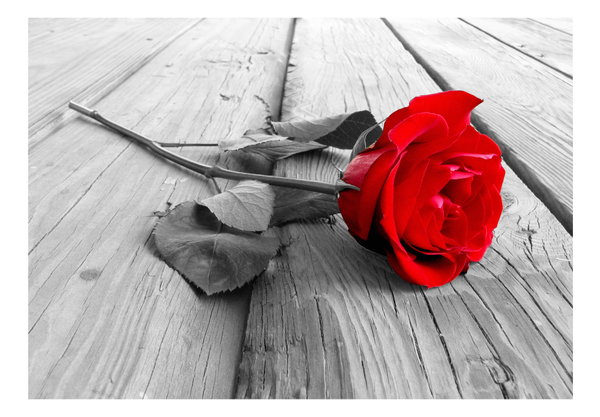 Selbstklebende Tapete 'Abandoned Rose'