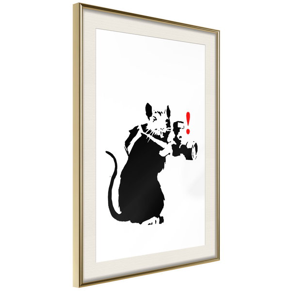Poster 'Rat Photographer'