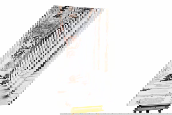 Een uniek exemplaar voor je interieur