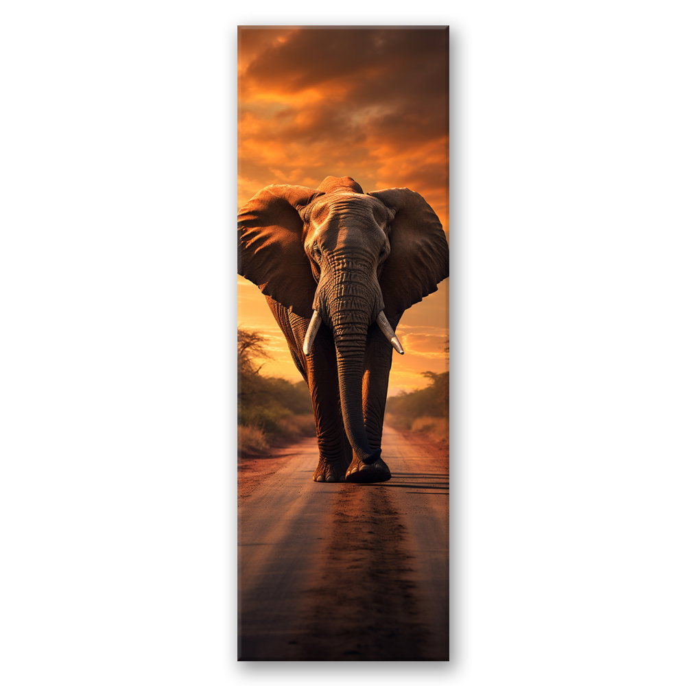Canvas Poster 'Elephant in Sunset'