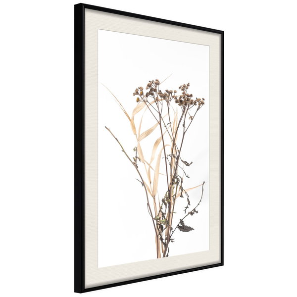 Poster 'Diary of a Herbalist'