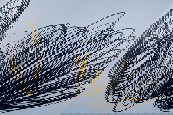 Generously applied colours