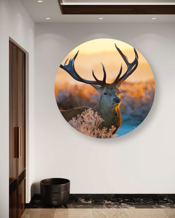 Rundes Bild 'Forest Glow'