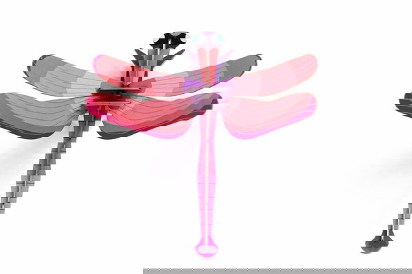 3D Wandobject gemaakt van karton 'Ruby Dragonfly Decor'