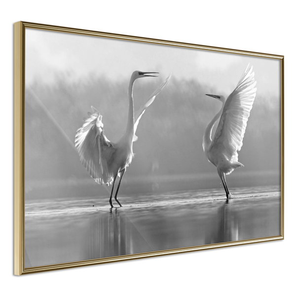 Poster 'Black and White Herons'