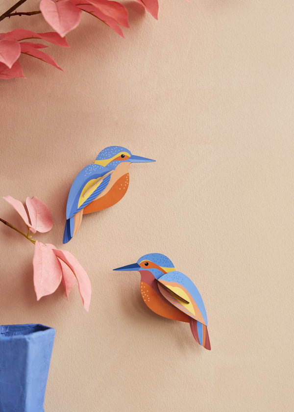 Wanddeko Papier 'Eisvogel-Duo'