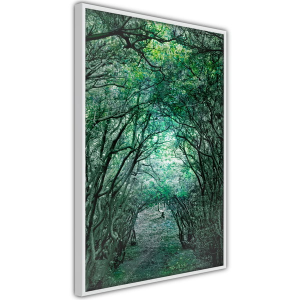 Poster 'Tree Tunnel'