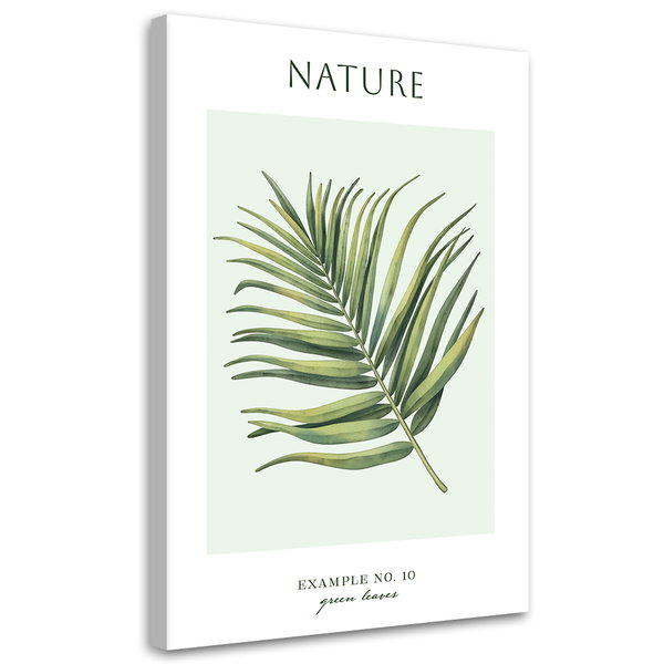 Kunstdruck auf Leinwand 'Green Leaves'