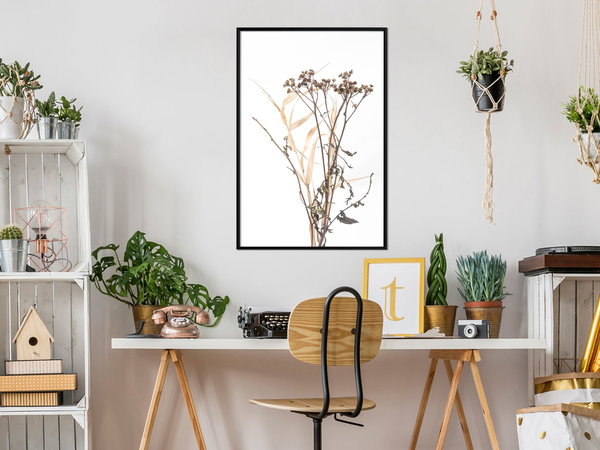 Poster 'Diary of a Herbalist'