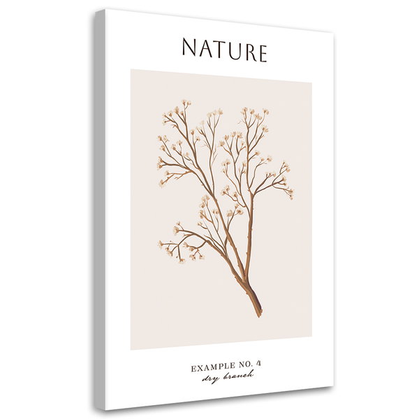 Kunstdruck auf Leinwand 'Dry Branch'