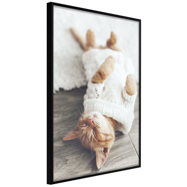 Poster 'Lazy Cat'