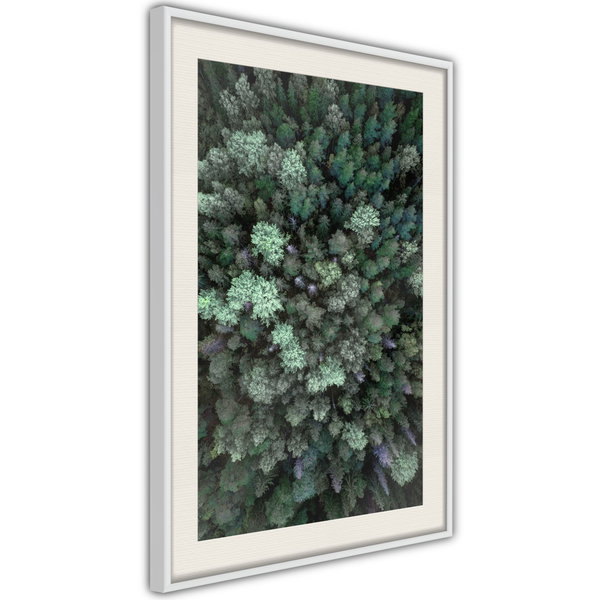 Poster 'World from High Above'