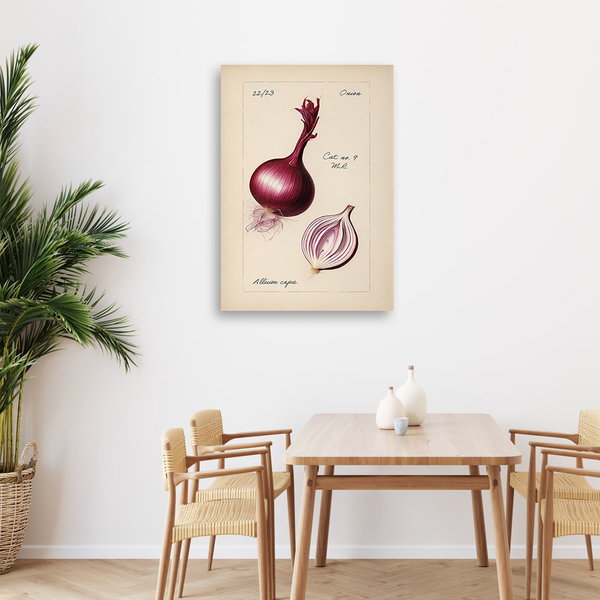 Kunstdruck auf Leinwand 'Onion'