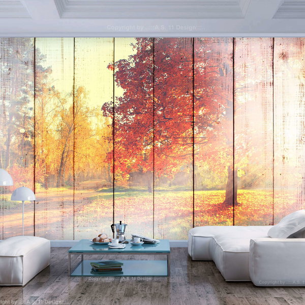Tapete 'Fall Sunrays'