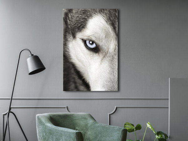 Kunstdruck auf Leinwand 'Dog's Look Vertical'