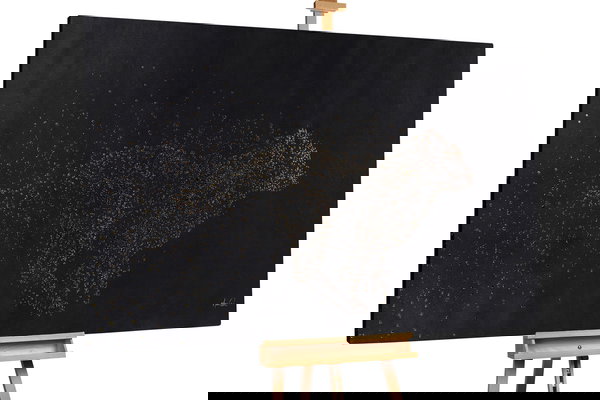 Een uniek exemplaar voor je interieur