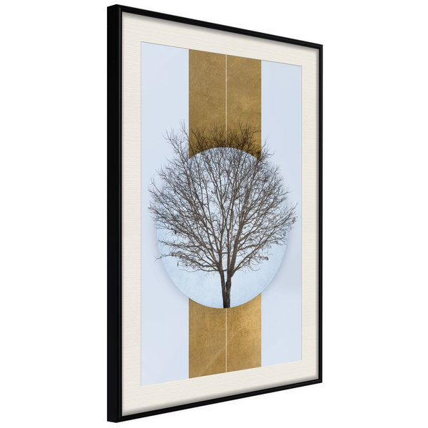 Poster 'Passing'