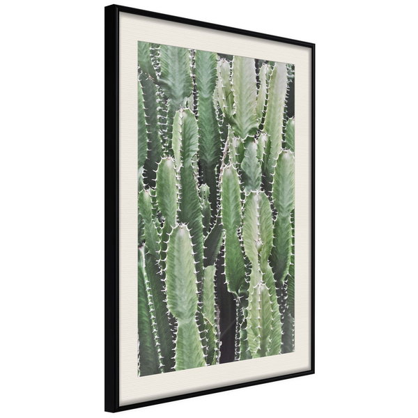 Poster 'Cactus Plantation'