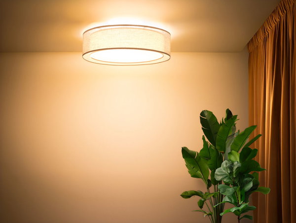 Suspension luminaire 'Puro Fresh Poise 1'