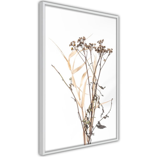 Poster 'Diary of a Herbalist'