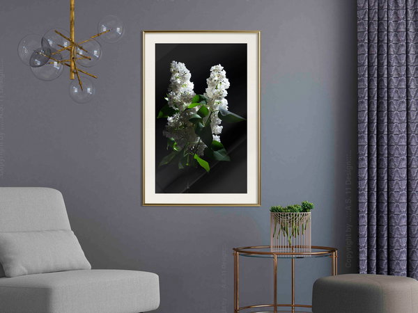 Poster 'White Lilac'