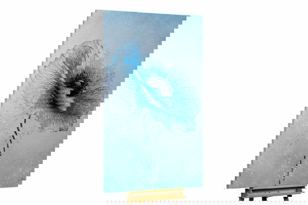 Un ejemplar único para su hogar o puesto de trabajo