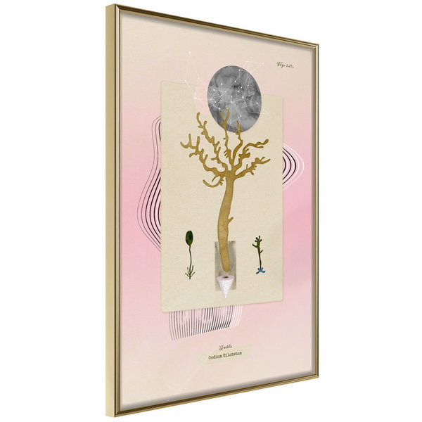 Poster 'Unusual Plant'