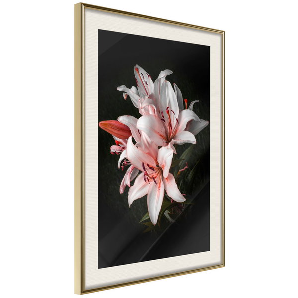 Poster 'Pale Pink Lilies'