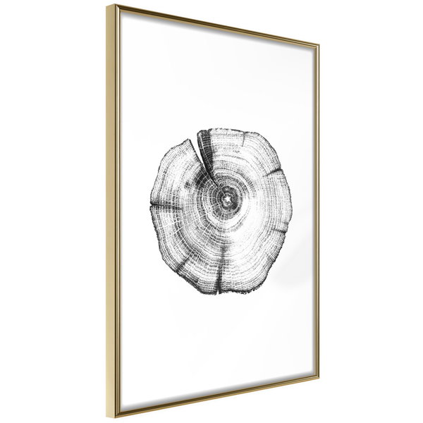 Poster 'Tree Rings'
