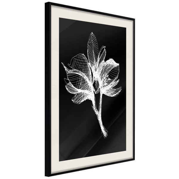 Poster 'White Plant'