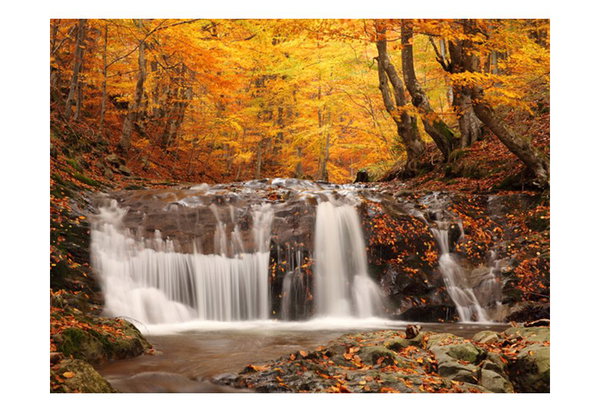 Tapete 'Autumn landscape : waterfall in forest'