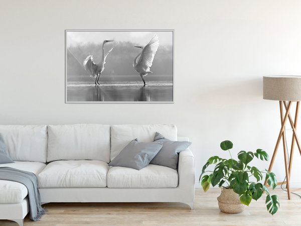 Poster 'Black and White Herons'