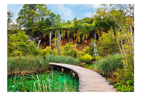 Tapete 'Green oasis'