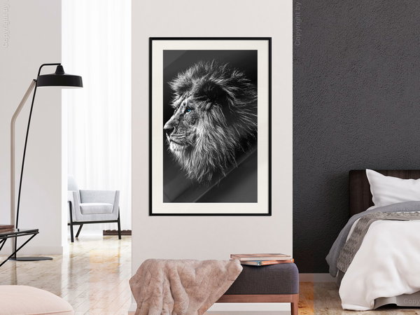Poster 'Blue-eyed Lion'
