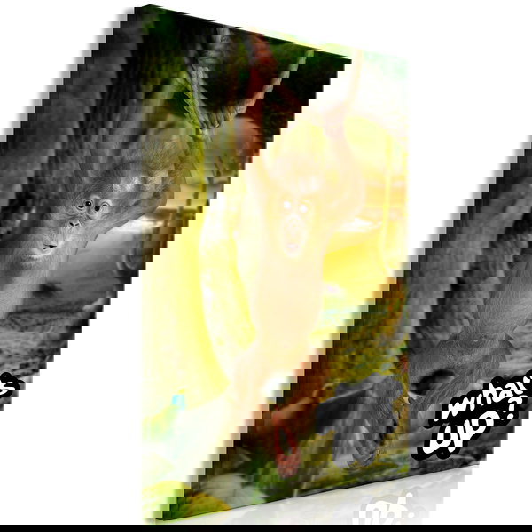 Impression sur toile 'What's Up? Vertical'