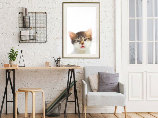 Poster 'Vexed Cat'