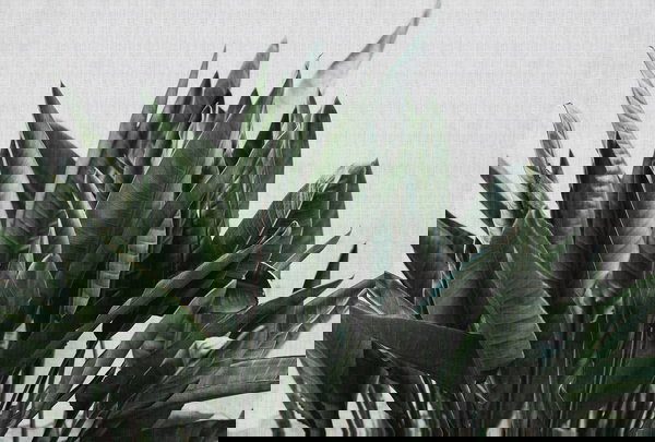 Behang 'Urban Jungle 2' 400x270cm