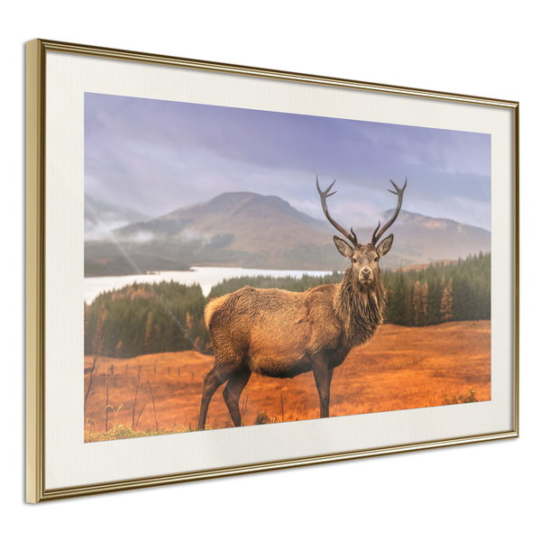 Poster 'Majestic Deer'