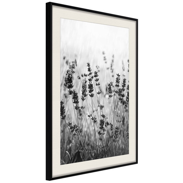 Poster 'Shadow of Meadow'