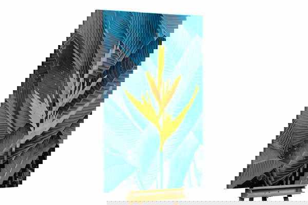 Un ejemplar único para su hogar o puesto de trabajo