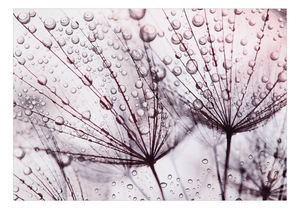 Tapete 'Rainy Time'