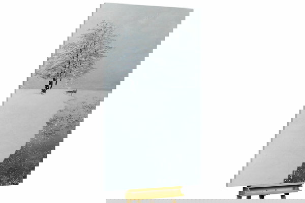 Un exemplaire unique pour votre intérieur