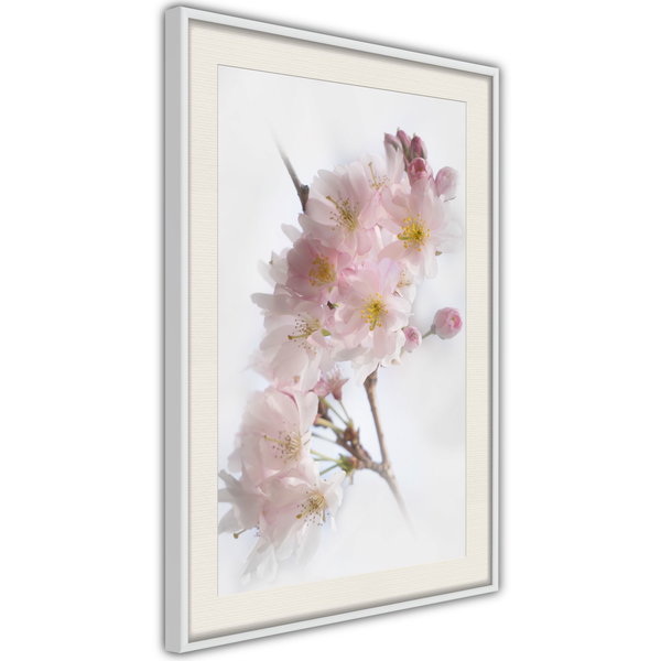 Poster 'Scent of Spring'