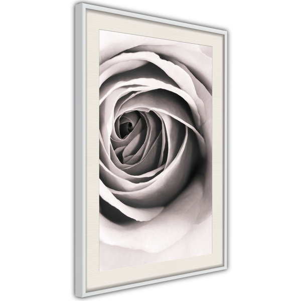 Poster 'Structure of Petals'