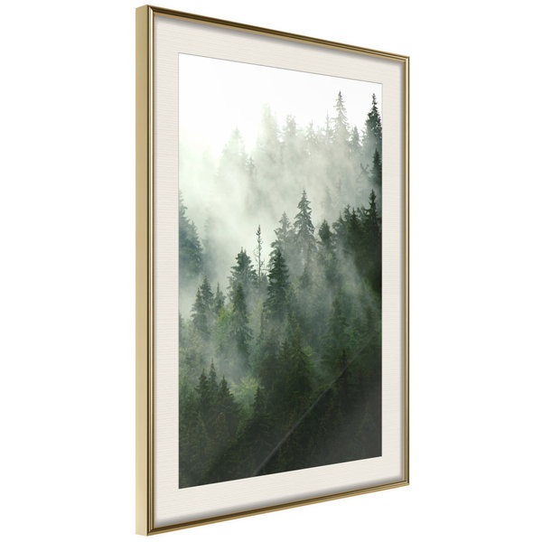 Poster 'Steaming Forest'